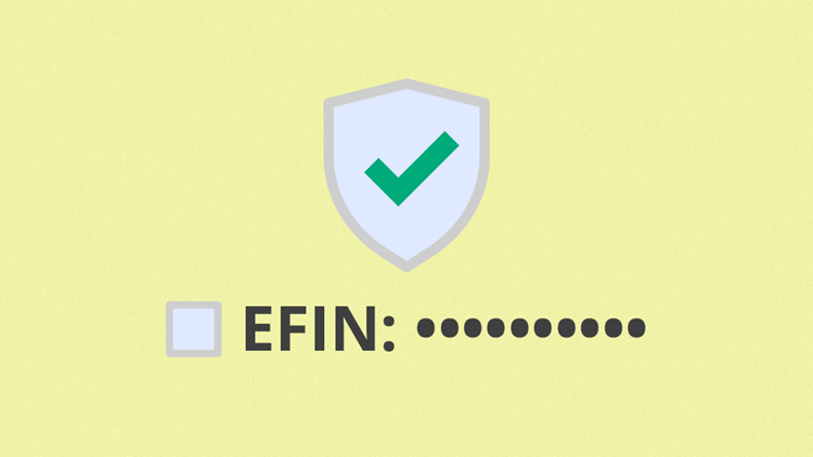 Tips for Protecting Your EFIN